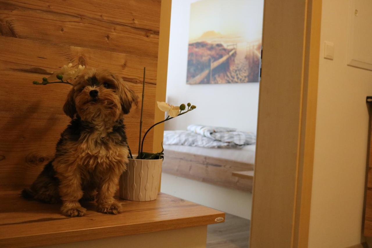 Zirben Diamant Rooms & Dogs Obdach Ngoại thất bức ảnh